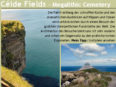 ceide fields02