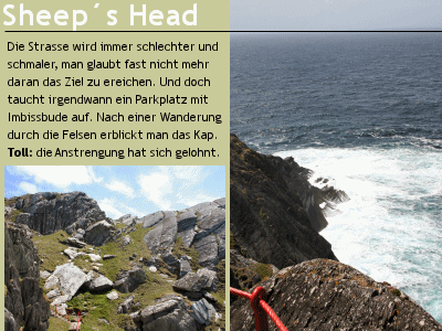 sheeps head