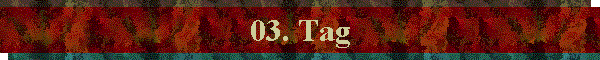 03. Tag