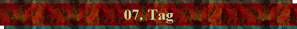 07. Tag