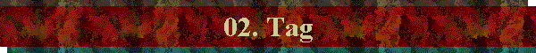 02. Tag