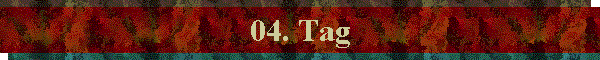 04. Tag