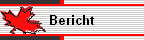 Bericht