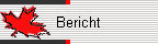 Bericht