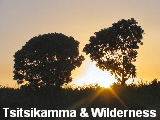 Tsitsikamma & Wilderness