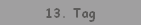 13. Tag