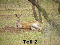 22e