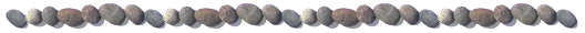 image502