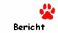 Bericht