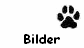 Bilder