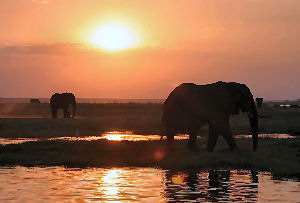 Okavango Delta